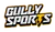 Gully Sports India